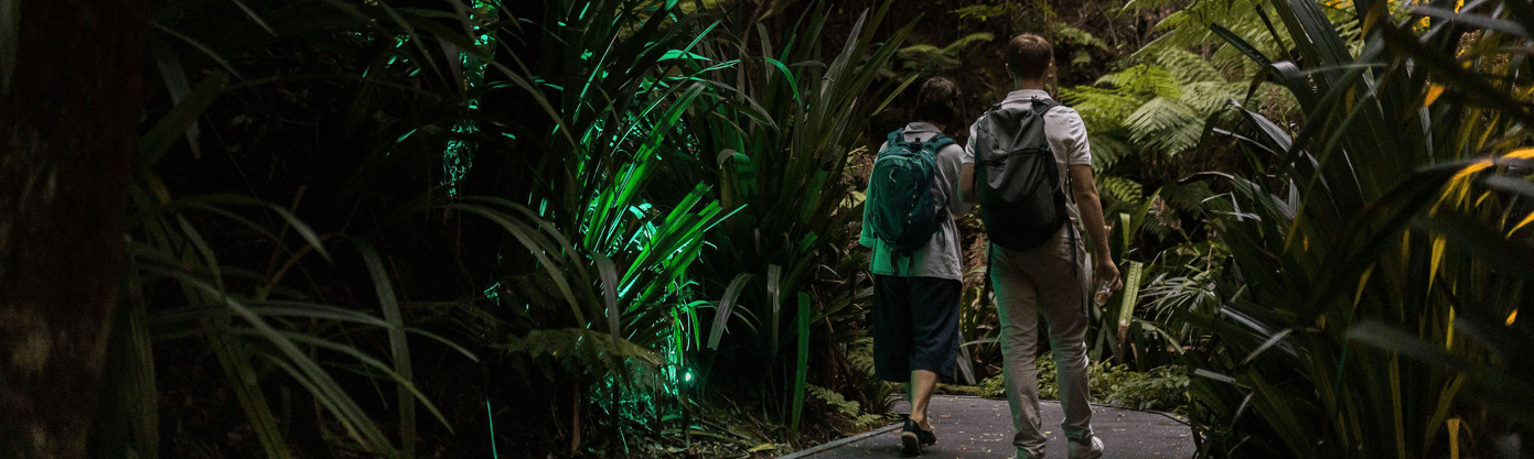 After dark walks