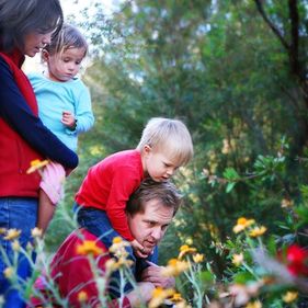 Discovering the Aboriginal Plant Use Trail Walk