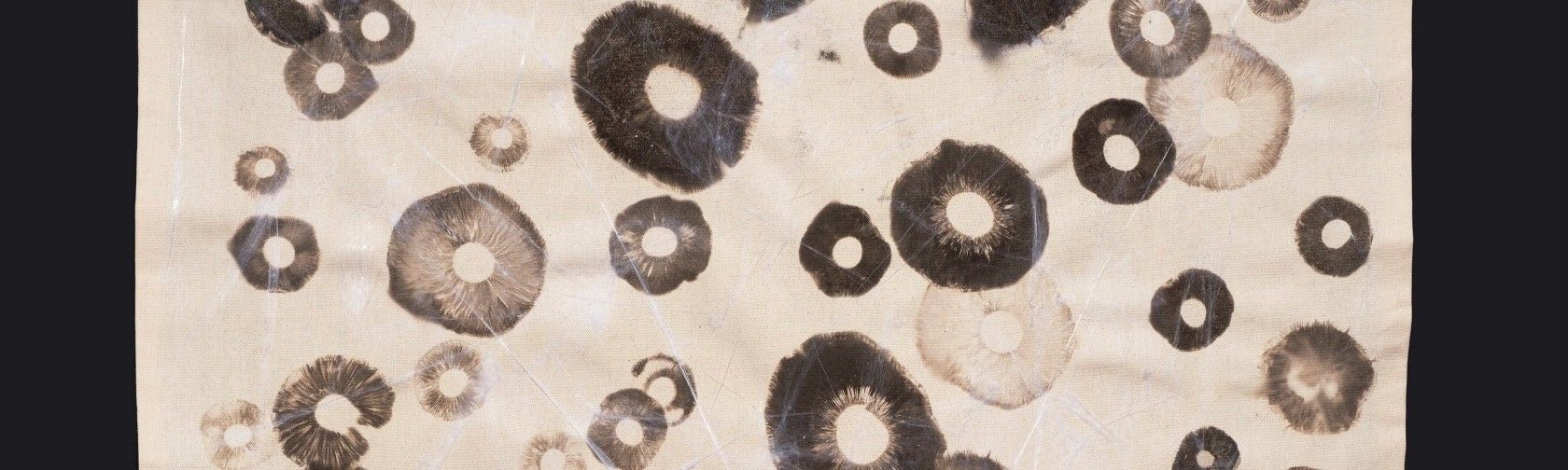 Magic Mycelium by Wendy Dodd