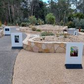 Friends of the ANBG student photography competition 2026 winners' photos being displayed in the gardens