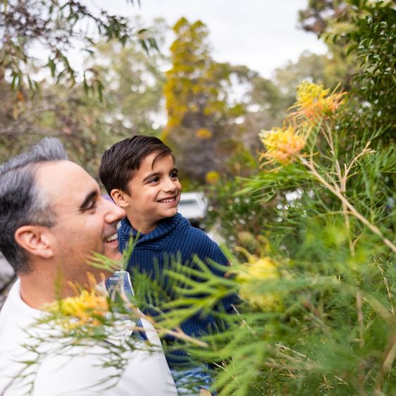 Australian National Botanic Gardens | Parks Australia