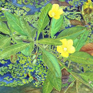 Artwork by Cornelia Buechen Osmond