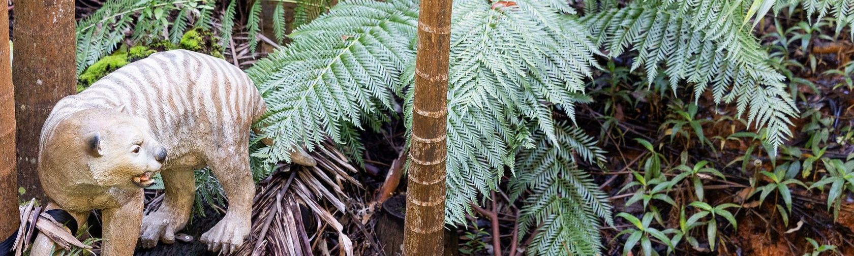A megafauna sculpture in the rainforest garden