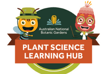 Plant Science Learning Hub