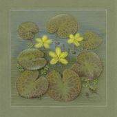 Painting by Margaret Saul