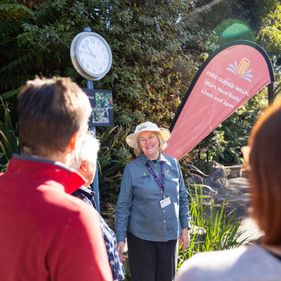 Free guided walks