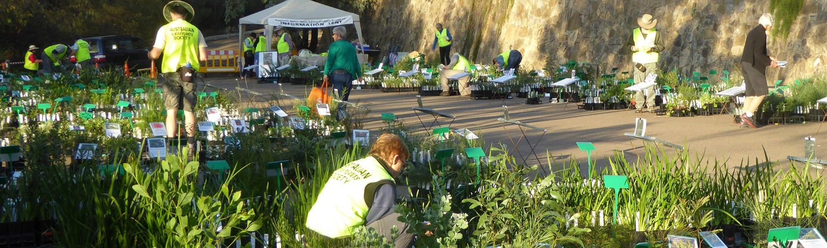 People in high-vis vests kneeling down and tending to an outdoor garden, with a tent in the background