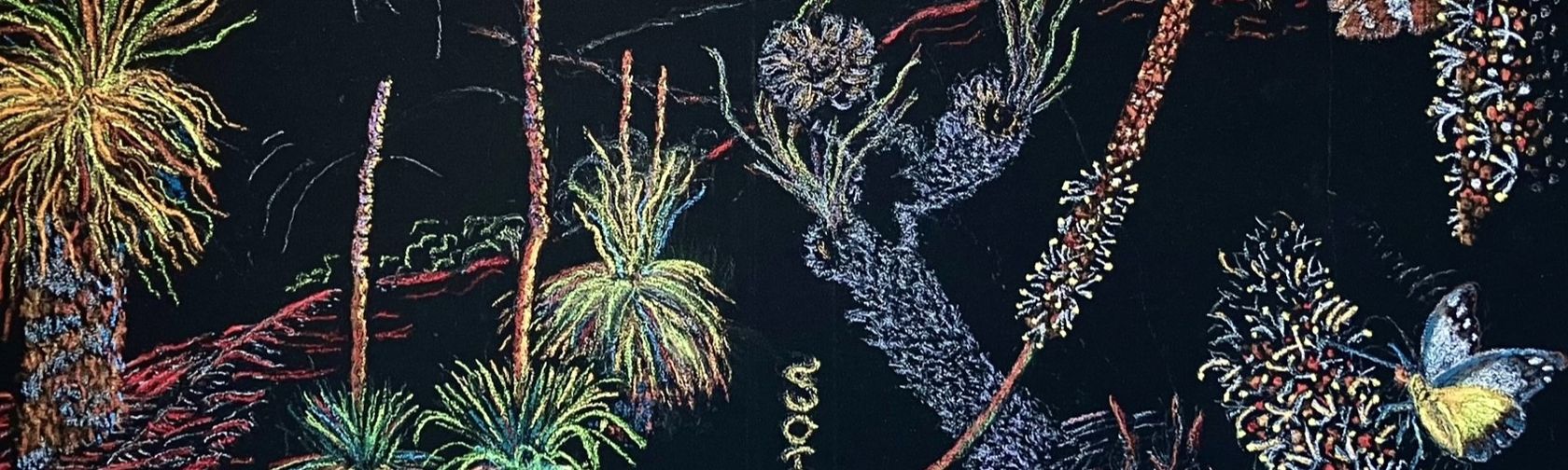 Xanthorrhoeas by Carole Henderson