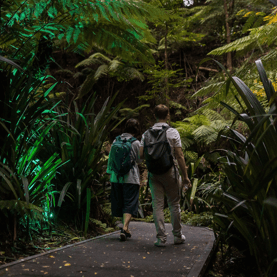 2 people walking around vegetation