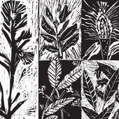 Lino prints of native Australian plants by Patrick Clarke| Jarrod Koch| Katie Jayne O’Brien| Zac Elliot and Sadie Grant Butler