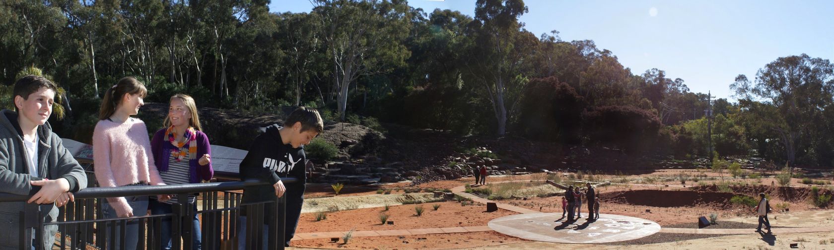 Indigenous plant use land management.