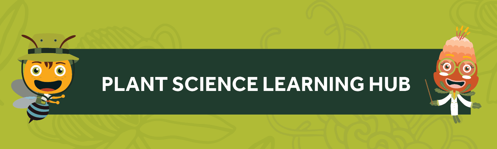 Plant Science Learning Hub