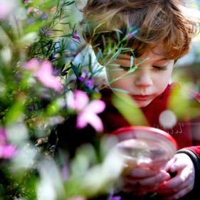 A child engrossed in nature play