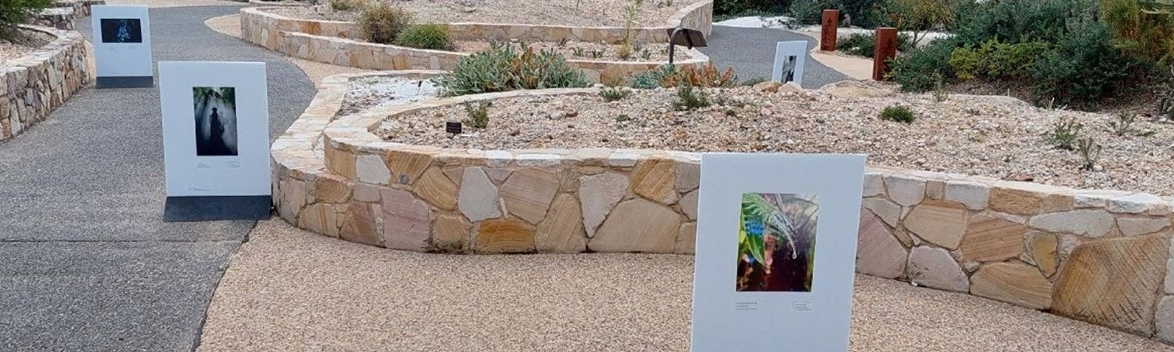 Friends of the ANBG student photography competition 2026 winners' photos being displayed in the gardens