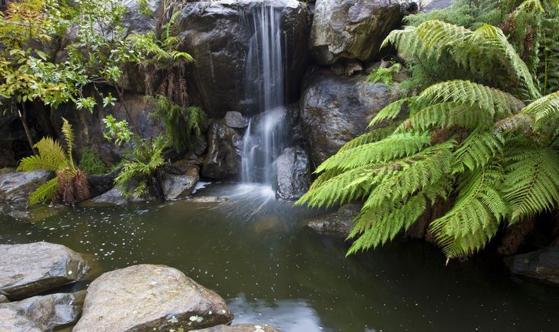 The waterfall in the Rock Garden.