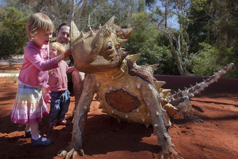 Children admiring the thorny devil statue in the Red Centre garden.