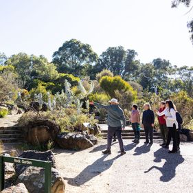 Walks & tours