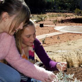 Indigenous plant use – land management