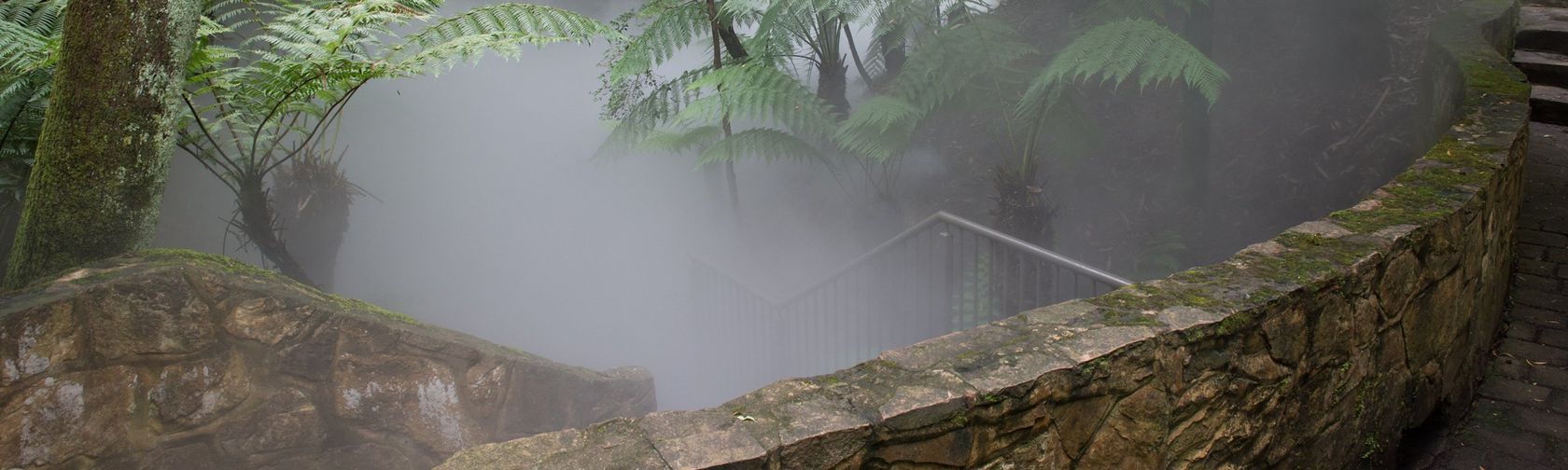 Stone stairs descending into mist