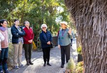 Walks & tours