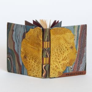 Interleave is an exhibition of works by the Canberra Craft Bookbinders Guild