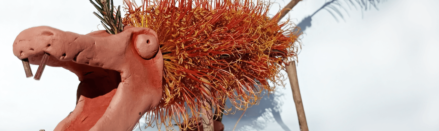 Banksia creature