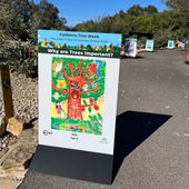 Tree walk