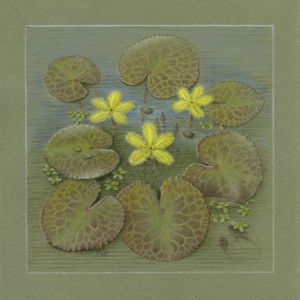 Artwork by Margaret A Saul