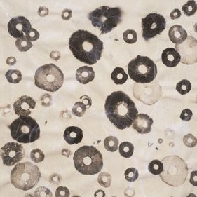 Meet the Artists of Networks Australia