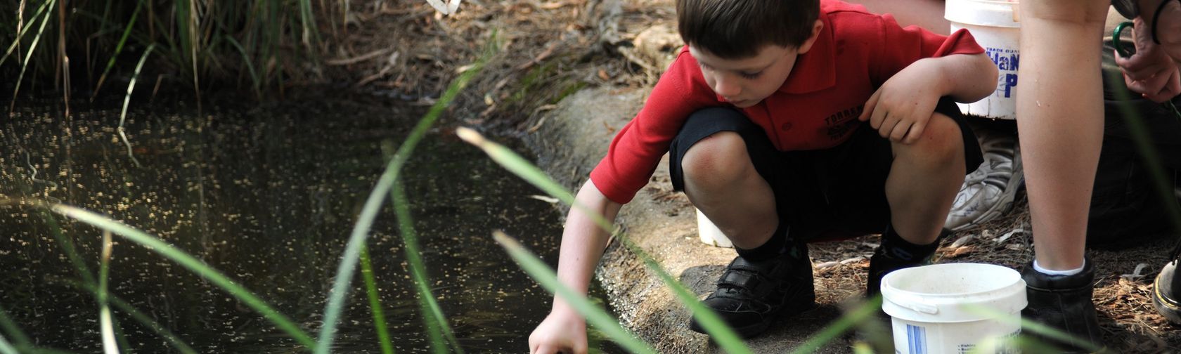 Pond dipping habitats lifecycles 3 6.