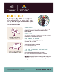H5 bird flu factsheet