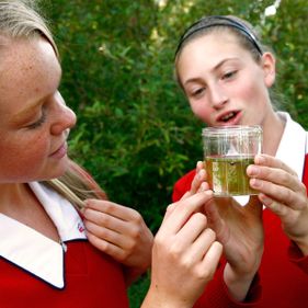 Pond-dipping – aquatic ecosystems and indicator species