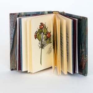 Interleave is an exhibition of works by the Canberra Craft Bookbinders Guild