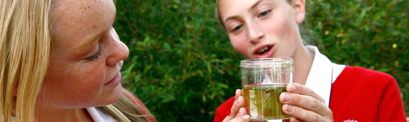 Pond dipping aquatic ecosystems.