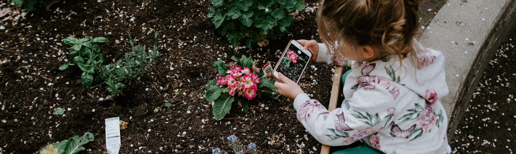 A child taking a photo of a flower