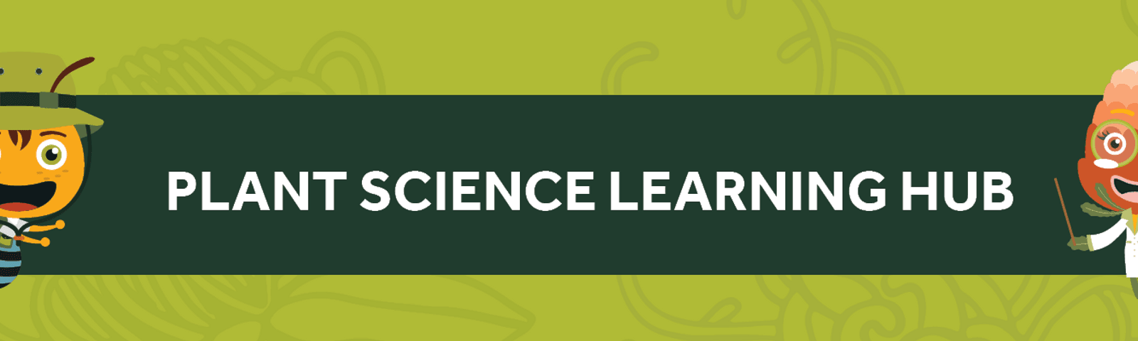 Plant Science Learning Hub