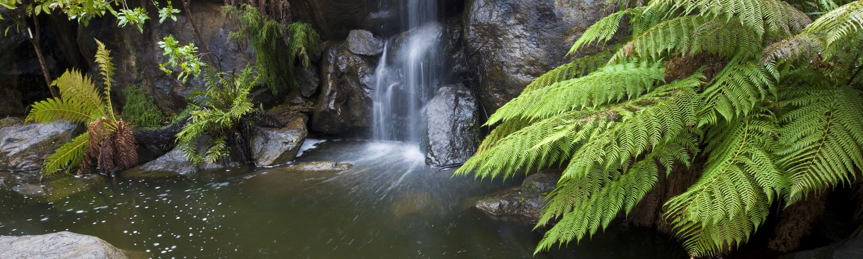 A waterfall and pond in the Gardens.