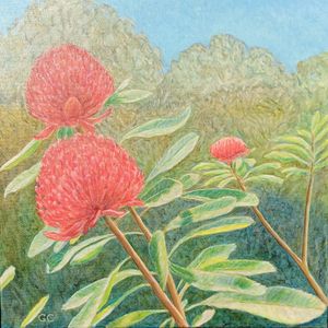 Catching the breeze by Gerry Crisp