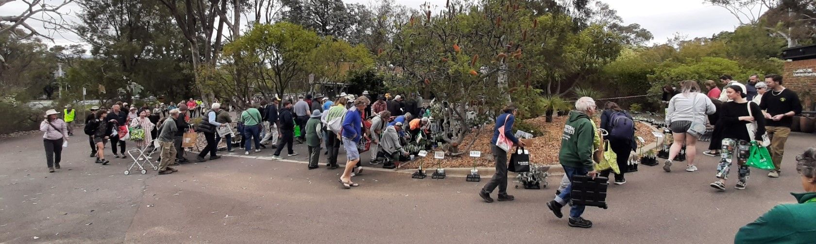 Growing Friends plant sale