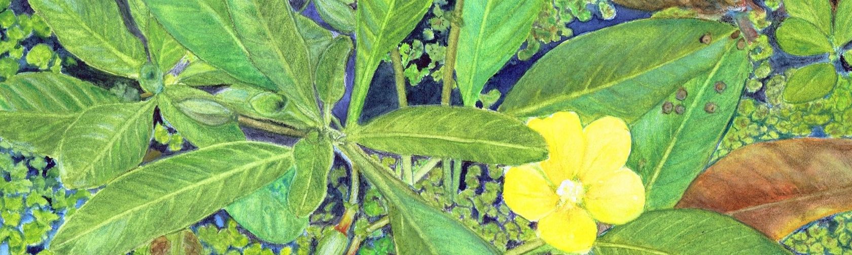 Painting by Cornelia Buechen-Osmond