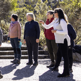 A tour group of women standing at a trail intersection in the Botanic Gardens in front of a small stone staircase