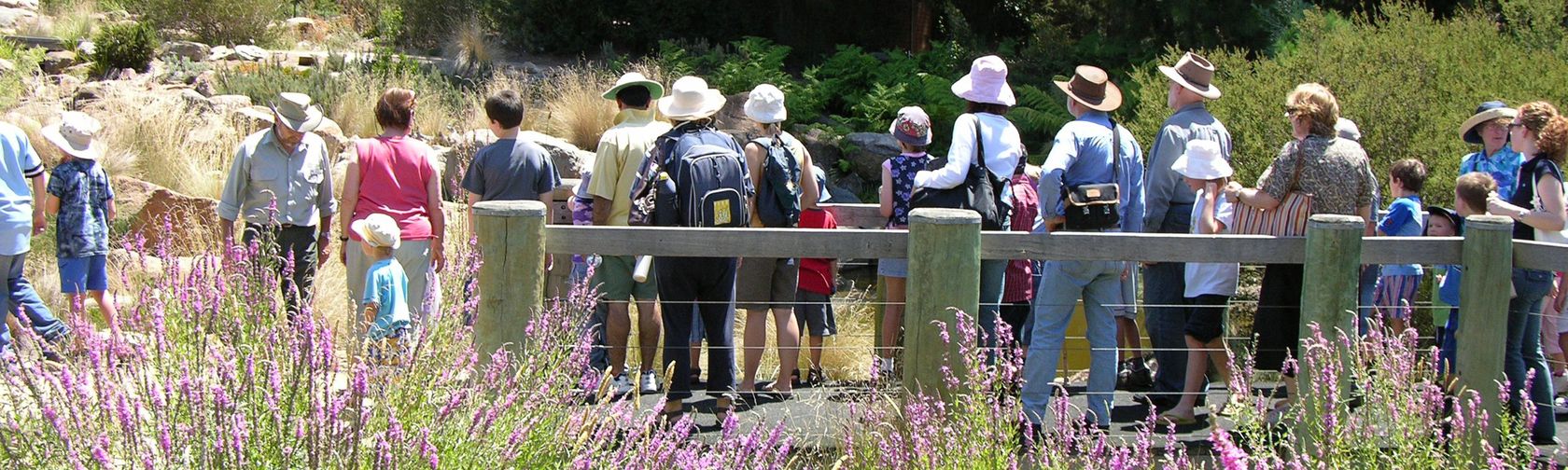 Visitors enjoying a guided walk at the Gardens