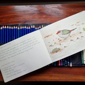 Nature journaling