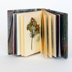 Interleave is an exhibition of works by the Canberra Craft Bookbinders Guild