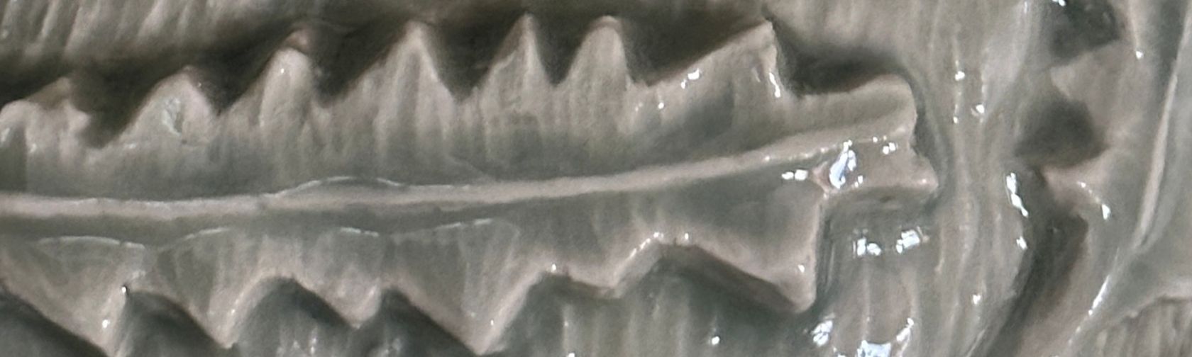 Dhulwa/Banksia re leaf – art exhibition