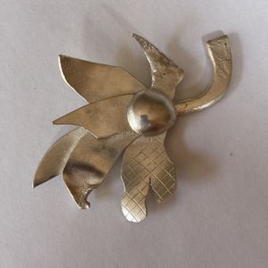 Flannel flower by Dorothy Danta