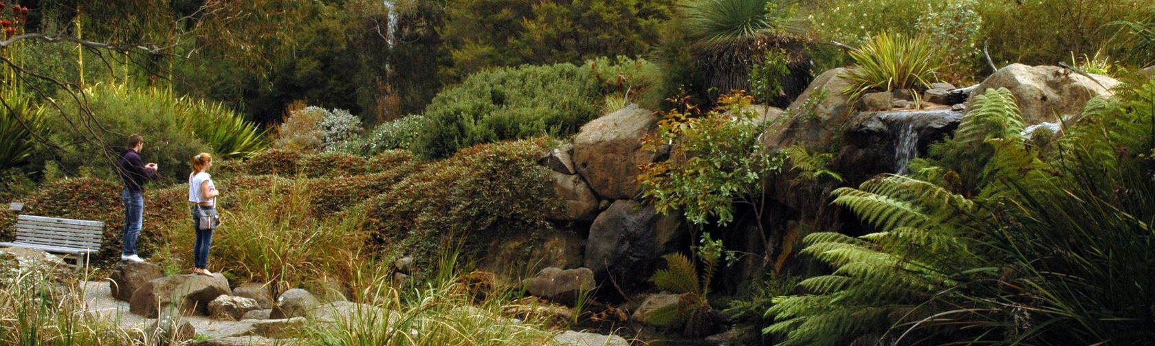 Visitors at the Rock Garden