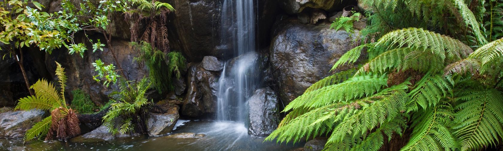 Waterfall in the Rock Garden