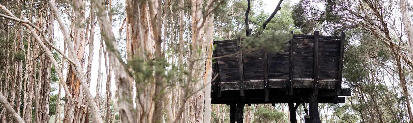 Paperbark Treehouse